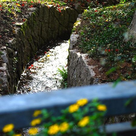 Ferienwohnung Wanderschoen Sasbachwalden Eksteriør bilde